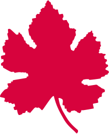 blatt-rot